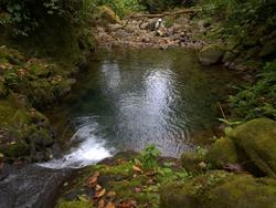 Swimming Hole 4-3-2009 9-39-26.jpg