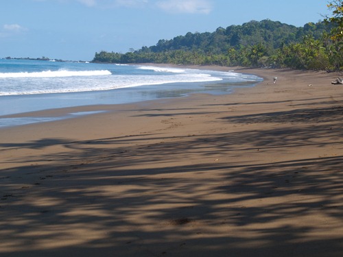 Hike to Rio Claro - Beach 3-25-2009 7-06-12 AM