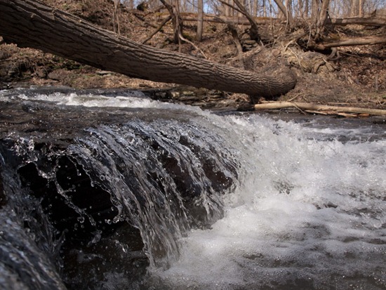 Gibbonsville Falls - 04.03.2010 - 09.16.32