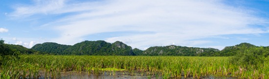 Catalina Wetland - 06.18.2010 - 09.06.52_stitch