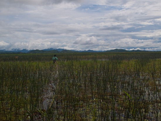 Plant Transect with Rafa - 06.21.2010 - 14.50.36