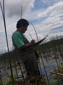 Plant Transect with Rafa - 06.21.2010 - 14.54.50