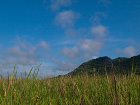 Wetland - 06.12.2010 - 08.00.34