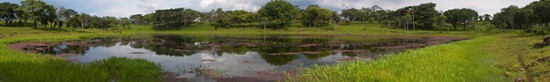 Wetland 3 - 06.30.2010 - 14.44.54_stitch