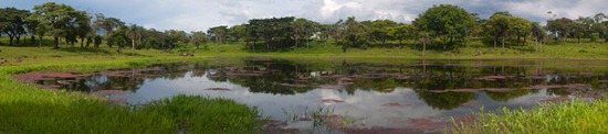 Wetland 3 - 06.30.2010 - 14.45.12_stitch