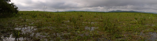 Wetland entrance - 09.14.2010 - 09.24.55_stitch