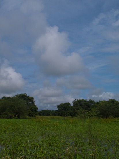 Lazaro Wetland - 07.07.2010 - 08.35.48