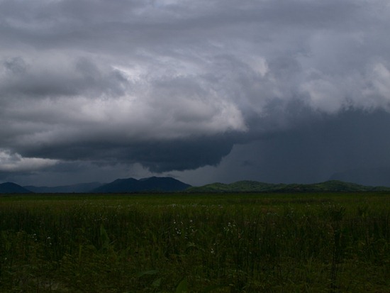 Palo Verde wetland rain - 07.07.2010 - 13.03.24