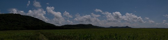 Wetland to Birding Tower - 09.18.2010 - 12.03.36_stitch