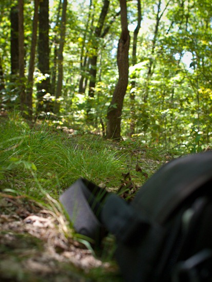 Camping at Zaleski State Forest - 09.05.2010 - 13.12.12