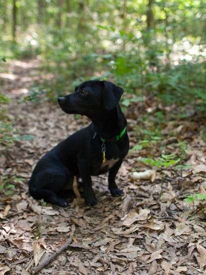 Cascade Springs with Amos - 05.27.2012 - 10.56.48