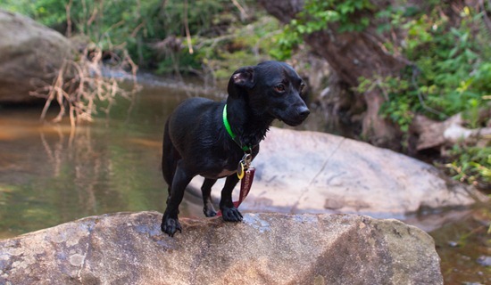 Southbend Park with Amos - 05.19.2012 - 09.54.39