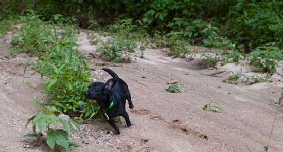 Cascade Springs with Amos - 05.27.2012 - 10.41.49