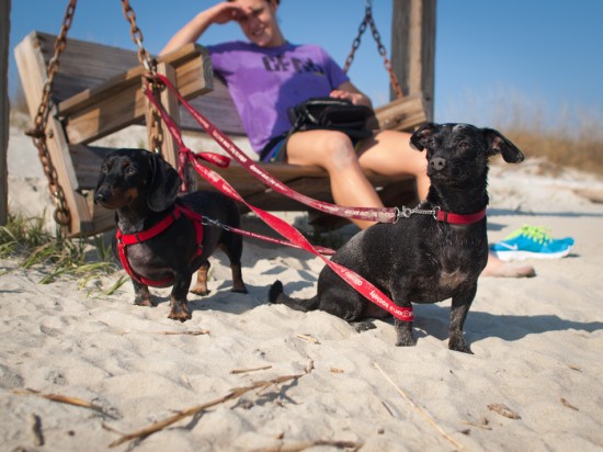 Tybee Island with Amos and Eva - 20130112 - 10