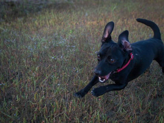 Skidaway Island State Park with Amos - 10.09.2012 - 14.46.03