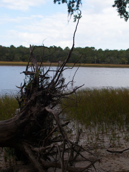 Skidaway Island State Park with Amos - 10.25.2012 - 08.00.52