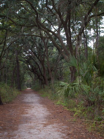 Skidaway Island State Park with Amos - 10.27.2012 - 11.26.53