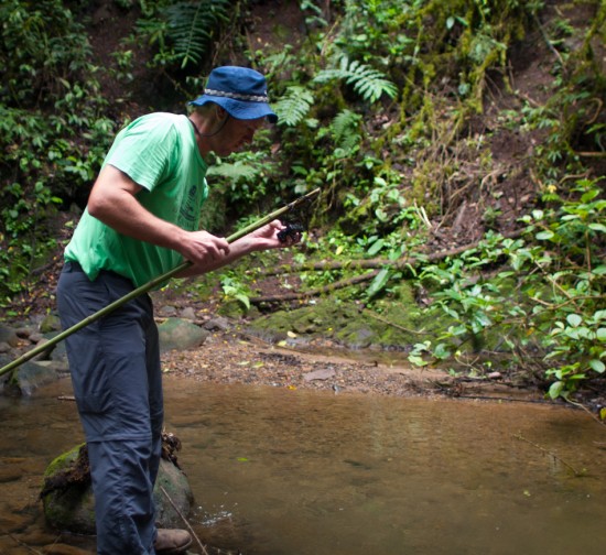 Rio Java - 20130621 - 9