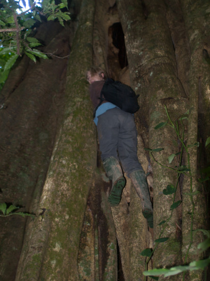 Alice in a strangler fig - 20130706 - 1