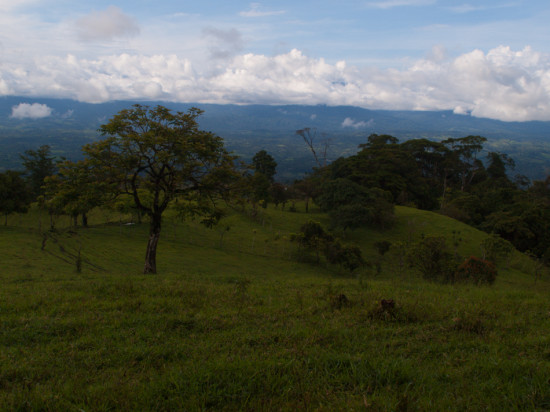 Finca Cantaros - 20130712 - 2