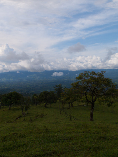 Finca Cantaros - 20130712 - 8