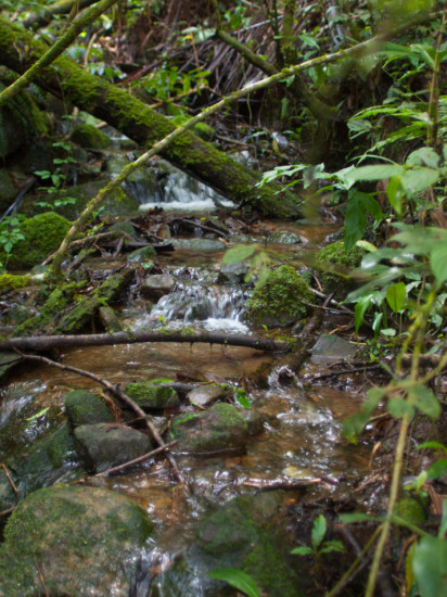 Las Alturas Streams - 20130705 - 8