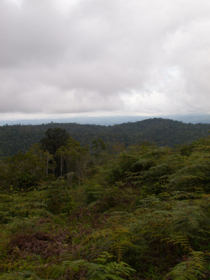 View from Las Alturas - 20130705 - 1